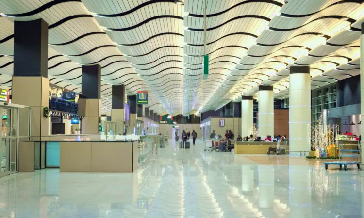 Международный аэропорт Блез Диань