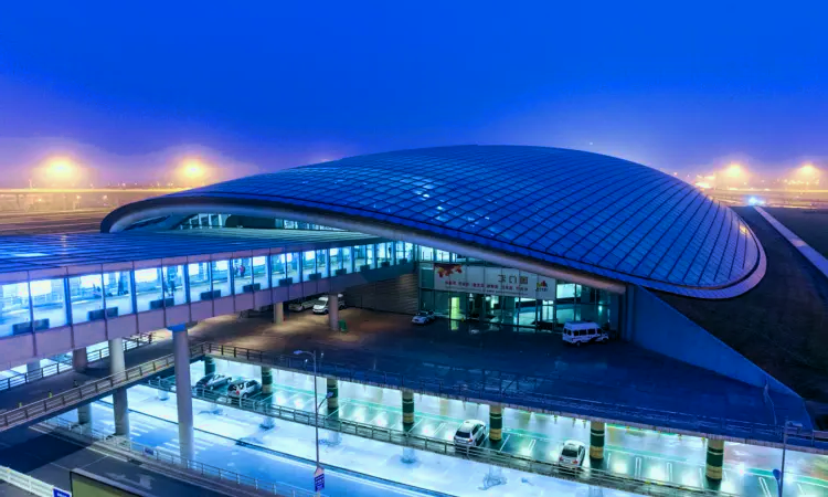 Sân bay quốc tế Đào Tiên Thẩm Dương