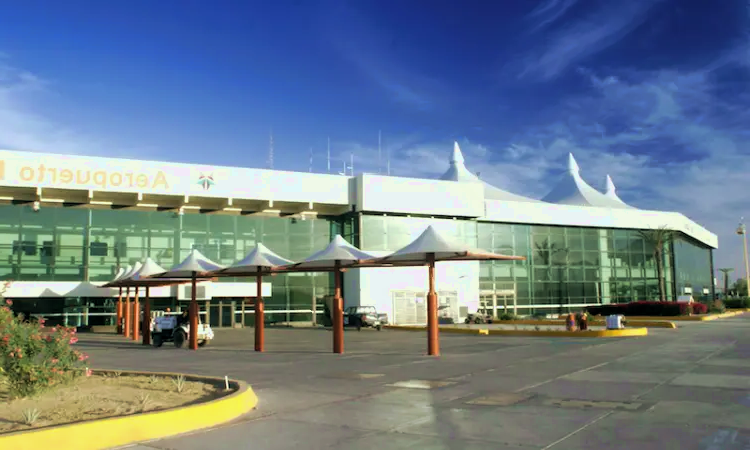 Прямые рейсы из Международный аэропорт Лос-Кабос (SJD) – AviaScanner