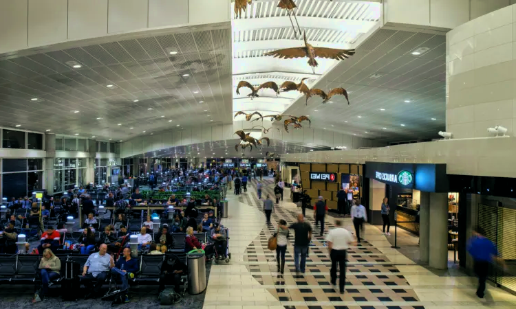 Международный аэропорт Тампа