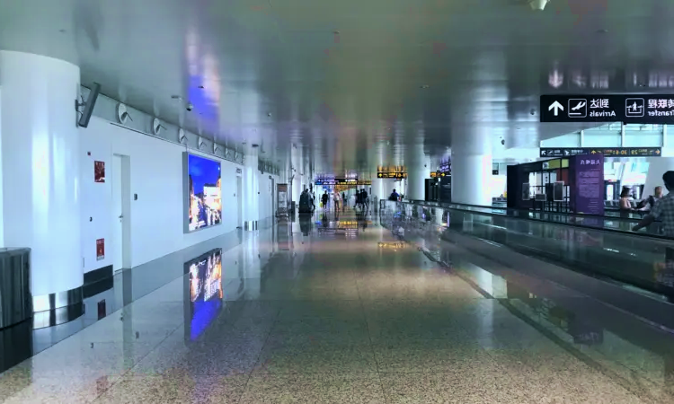 Aeroporto internazionale di Wuhan Tianhe
