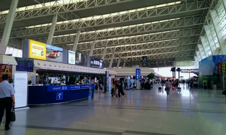 مطار ووهان تيانخه الدولي